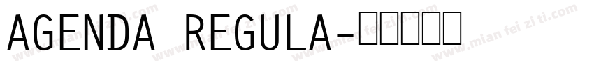 AGENDA REGULA字体转换